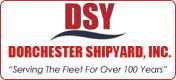 DSY footer logo